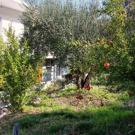 Arbanija 5228e Trogir